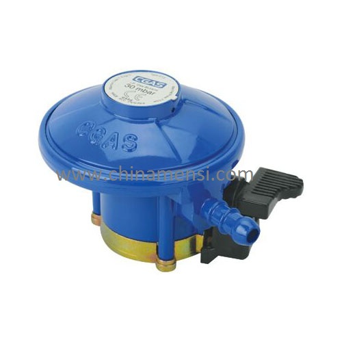 LPG Safety Regulator